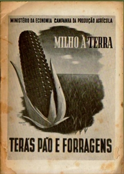 Imagem de MILHO À TERRA - TERÁS PÃO E FORRAGENS