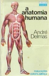 Imagem de Anatomia humana
