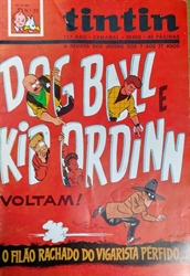 Imagem de Tintin - 13º ANO - Nº 33