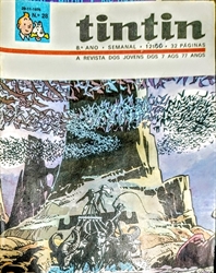 Imagem de 28 - TINTIN 8º ANO