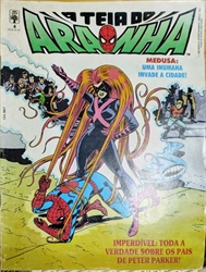 Imagem de 04 - A teia do Aranha 
